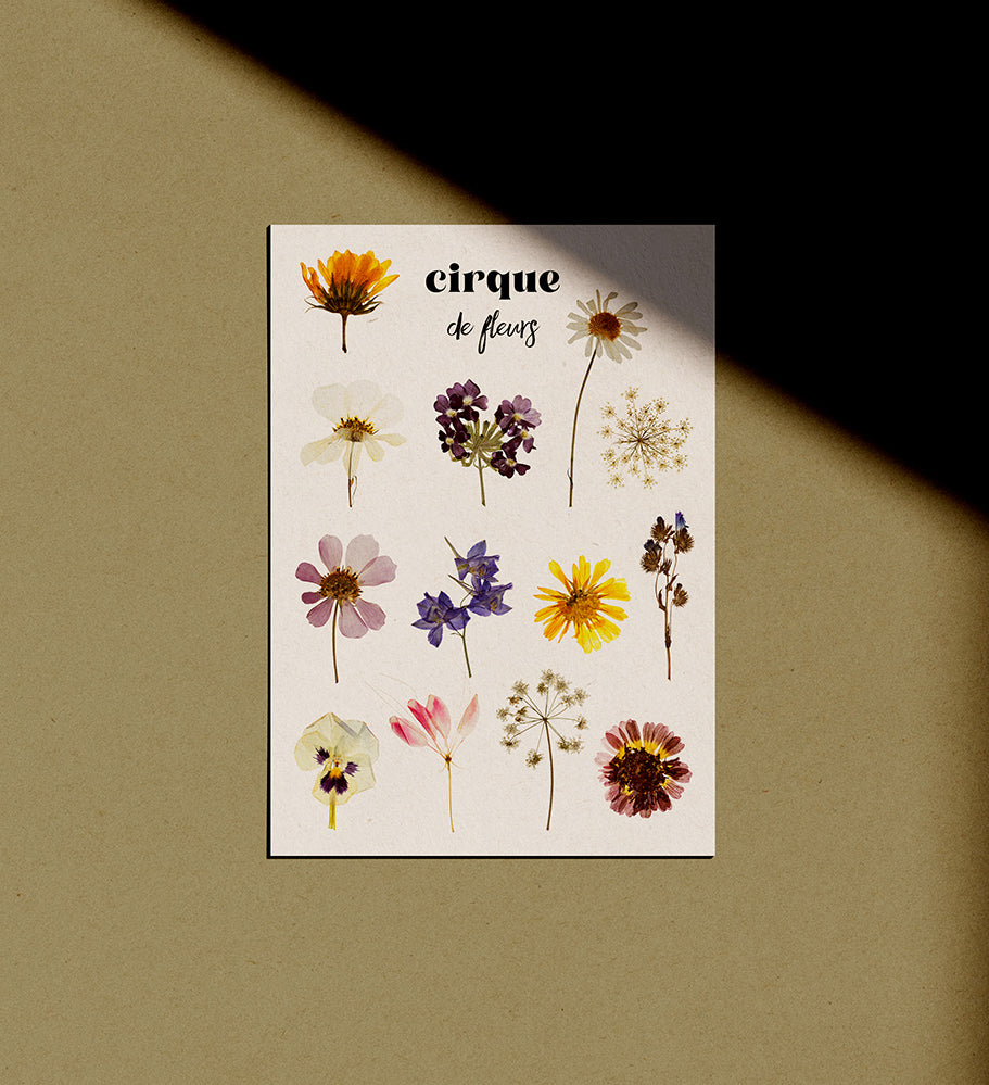Cirque de Fleurs postcard